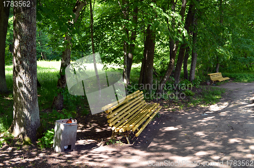 Image of Wooden yellow bench under trees trash bins in park 