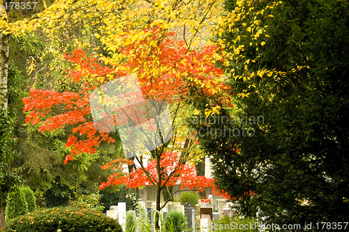 Image of Autumnal cemetery 02