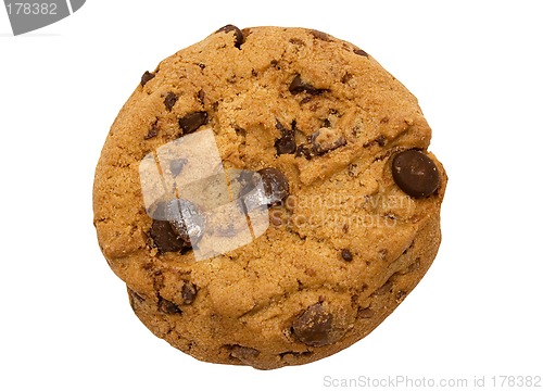 Image of Single Chocolate Chip Cookie w/ Path