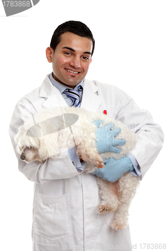 Image of Veterinarian carrying a pet dog