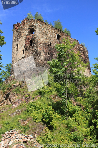 Image of Castle in Swiecie