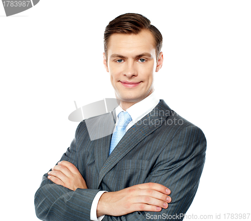 Image of Portrait of handsome young businessman