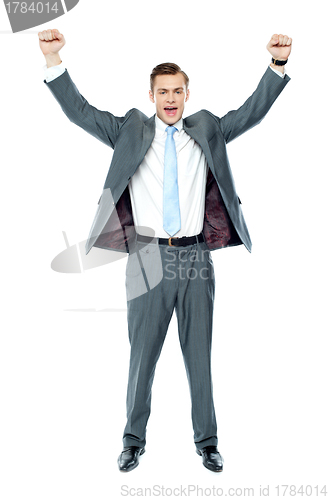 Image of Full length portrait of a excited young executive