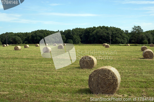 Image of Rural landscape