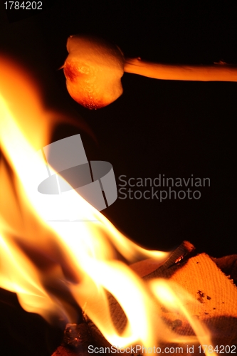 Image of roasting a marshmallow