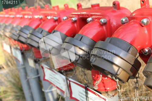 Image of row of fire hydrants