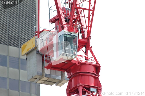 Image of red crane