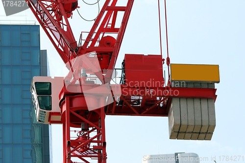 Image of red crane