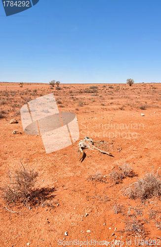 Image of australian red desert