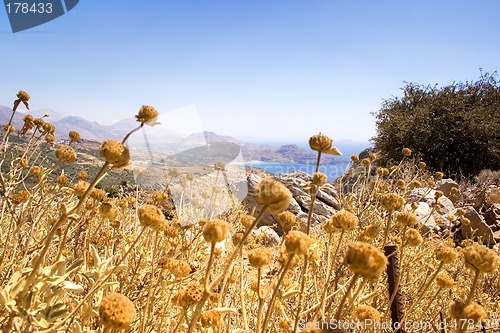 Image of Lovely Coastline