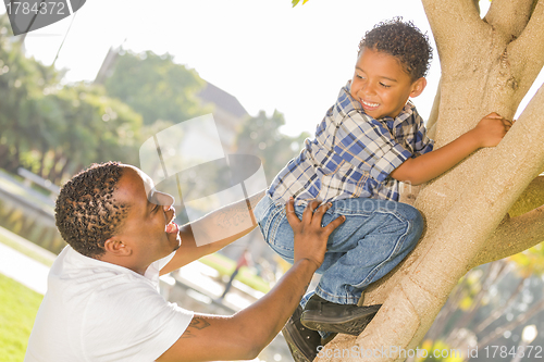 Image of Happy Mixed Race Father Helping Son Climb a Tree