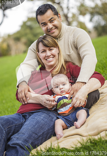 Image of Happy Mixed Race Family Posing for A Portrait