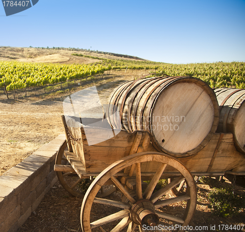 Image of Grape Vineyard with Old Barrel Carriage Wagon
