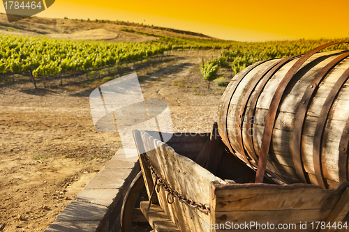 Image of Grape Vineyard with Old Barrel Carriage Wagon
