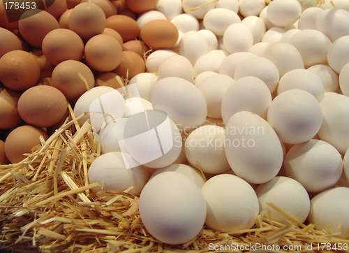 Image of eggs on straw