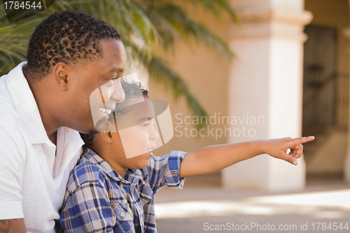 Image of Mixed Race Father and Son Pointing in the Park