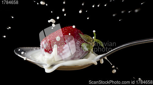 Image of red, ripe strawberry falling in spoon with milk