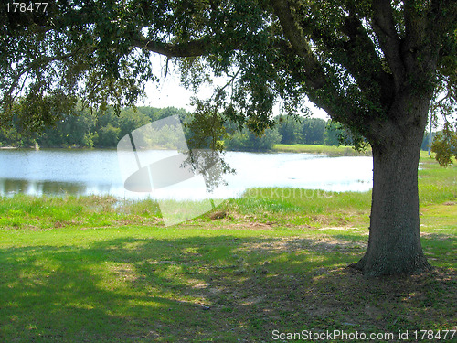 Image of picnic area