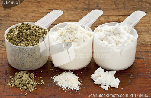 Image of hemp and whey protein powder