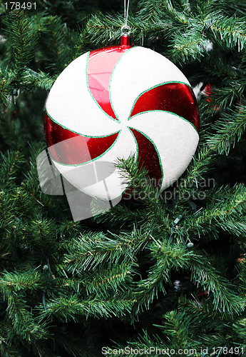 Image of Christmas decoration