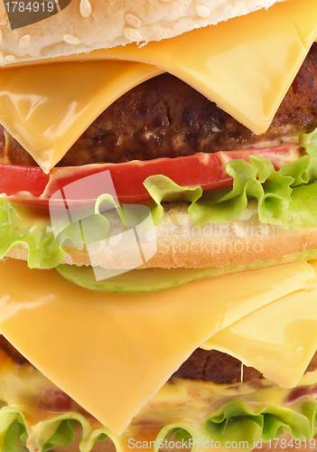 Image of Tasty Double Cheeseburger closeup