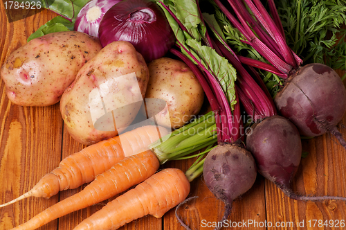Image of Raw Organic Vegetables