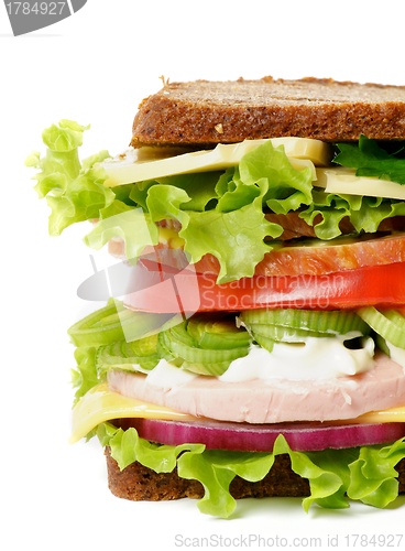 Image of Tasty Lunch Sandwich