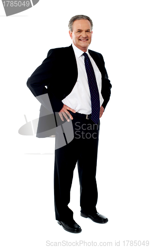 Image of Senior businessman posing with hands on his waist