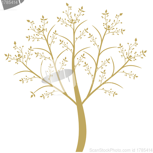 Image of Olive Tree