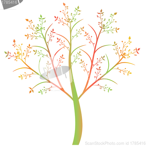 Image of Olive Tree