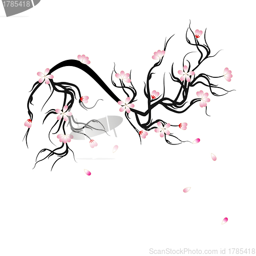 Image of Cherry Blossom