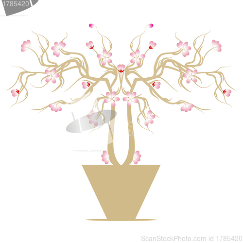 Image of Cherry Blossom