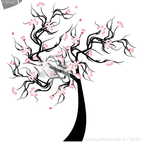 Image of Cherry Blossom