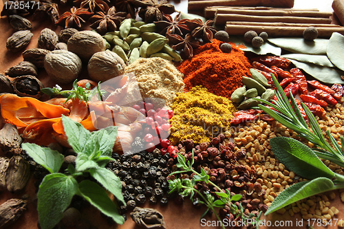 Image of Herbs and spices