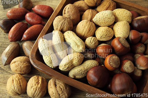 Image of Nut varieties