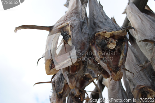 Image of Stockfish