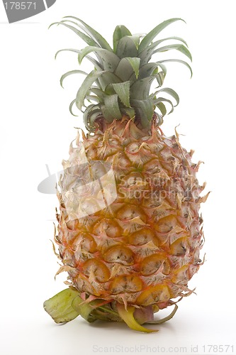 Image of Pineapple