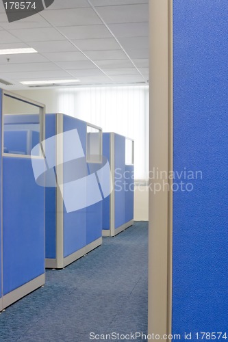 Image of Office cubicle partitions