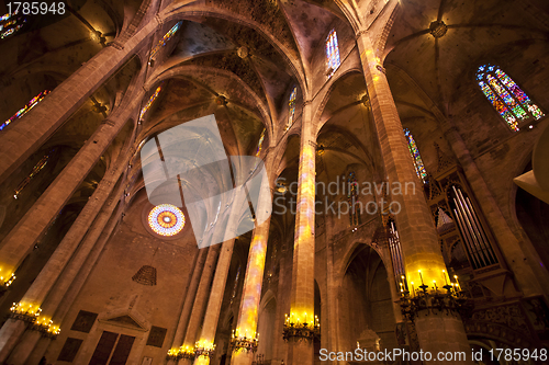Image of Palma cathedral interior