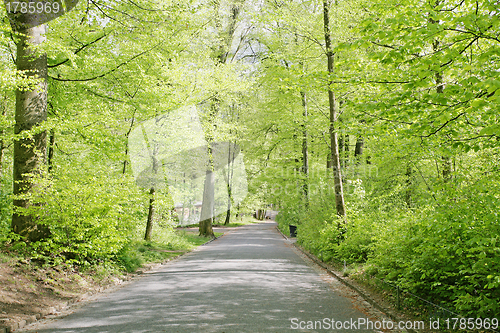 Image of Roads of a beautifull Swiss park