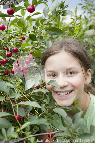 Image of Girl under the cherry tree