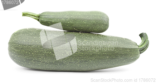 Image of Two large courgettes