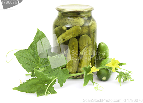 Image of Pickled cucumbers in jar