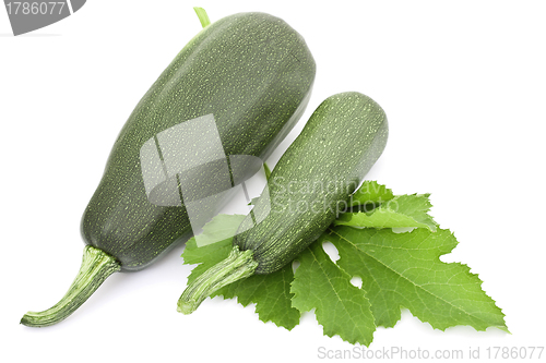 Image of Two large courgettes