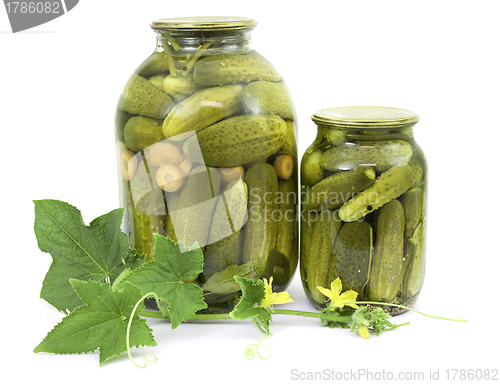 Image of Pickled cucumbers in jars 