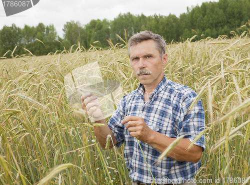 Image of The farmer in the field