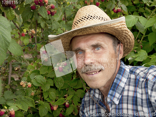 Image of An elderly gardener in the garden