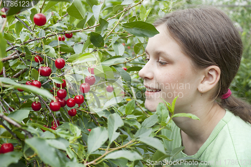 Image of Girl under the cherry tree