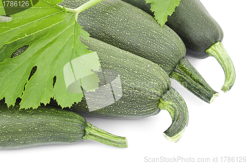 Image of Four large courgettes