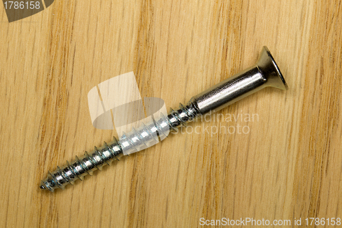 Image of Macro image of steel screw on piece of wood